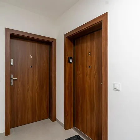 Zygmunta Standard By Bookinghost